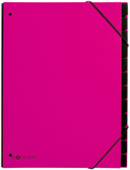 PAGNA Trieur Trend, A4, 12 compartiments, rose fonc&eacute;