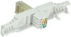 Miniature LogiLink Connecteur modulaire RJ45 cat.5e, non blind&eacute; n°0