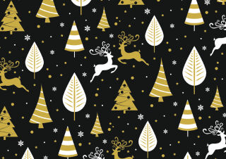 SUSY CARD Papier cadeau de No&euml;l 'Xmas night'