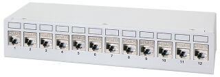 LogiLink Panneau de brassage cat.6A, 12 ports, gris clair