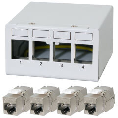 LogiLink Panneau de brassage cat.6A, 4 ports, gris clair